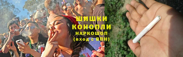 дмт Инсар