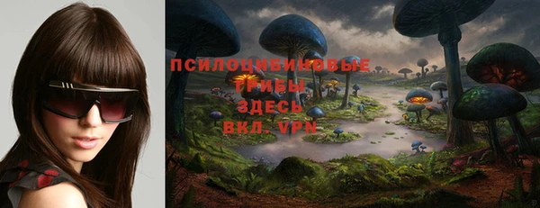 дмт Инсар